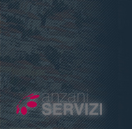 Anzani Servizi